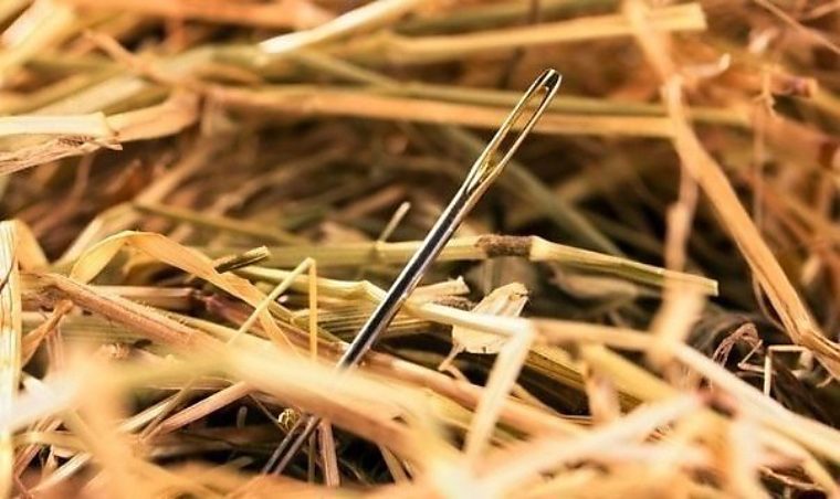 иголка в стоге сена