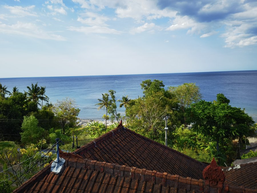 рыбалка в шанхае