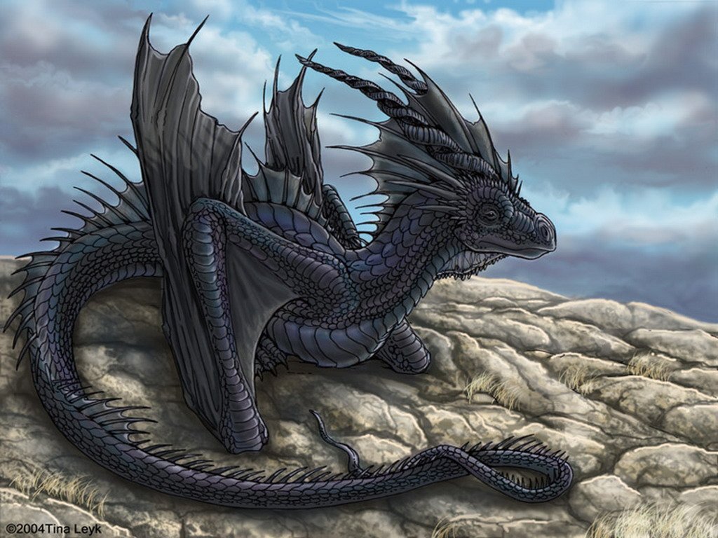 Дракон картинки. Дракон Орлангур. Гебриданский чёрный дракон. Дракон черный Земляной. Новозеландский опаловый дракон.