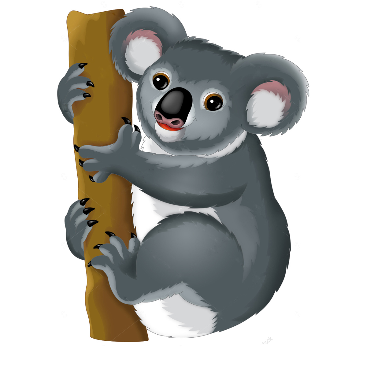 коала рисунок